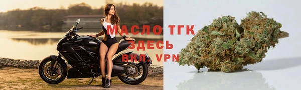 бошки Ельня