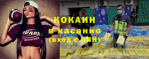 бошки Ельня