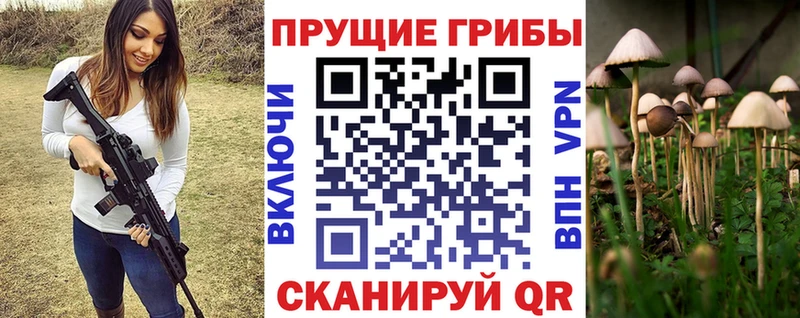 Псилоцибиновые грибы Magic Shrooms  блэк спрут сайт  Западная Двина  дарнет шоп 